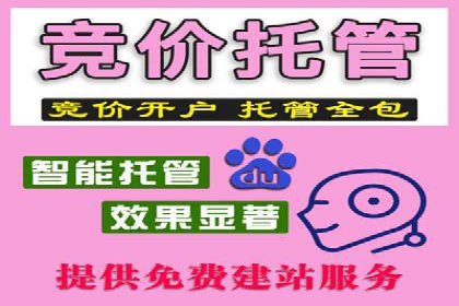 谷歌竞价策略：如何避免广告欺诈